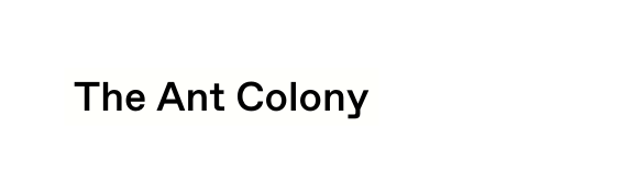 The Ant Colony